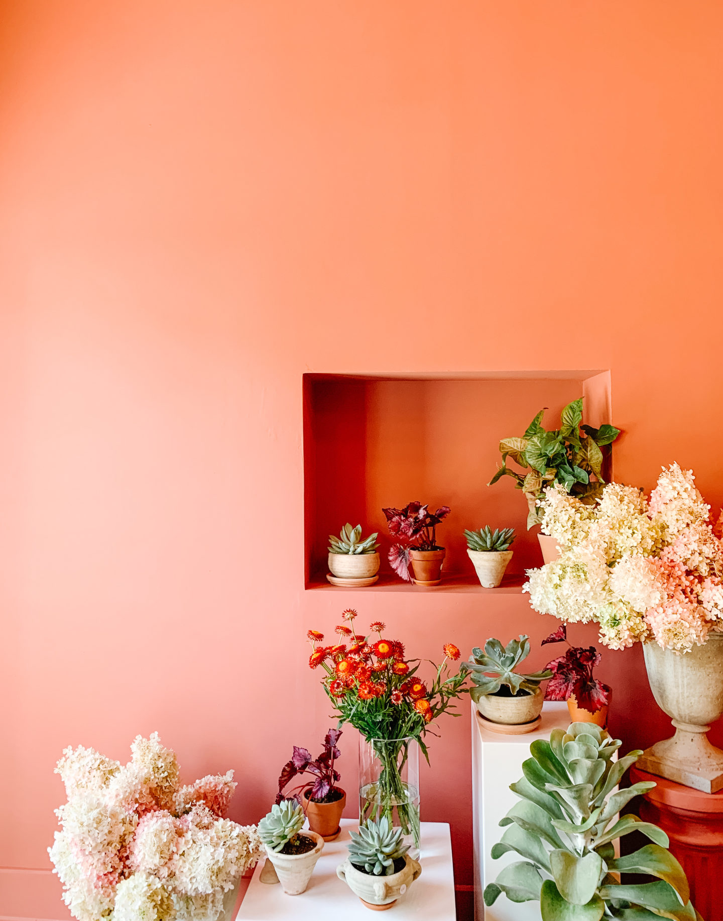 A pink Flower shop