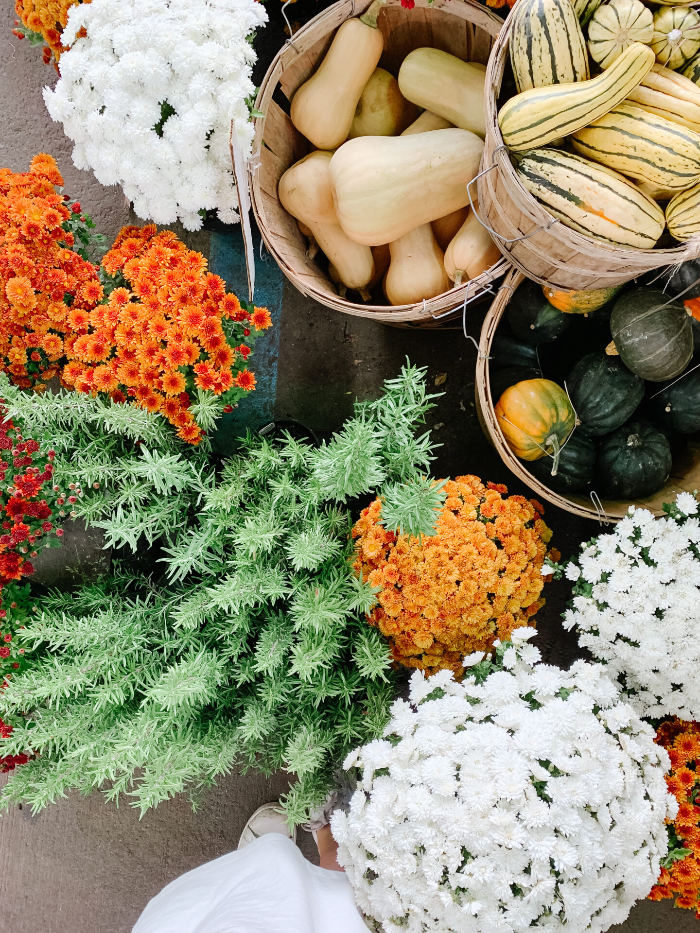 Best farmers market in montreal