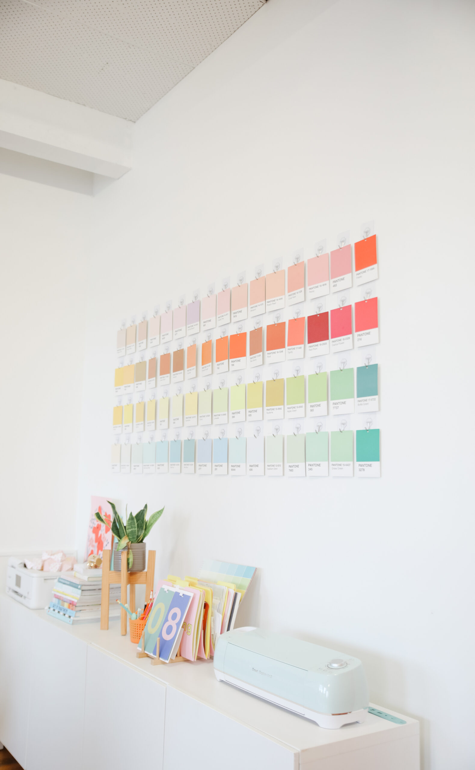 We Finally Have a Pantone Wall at The Studio! - Hey Maca