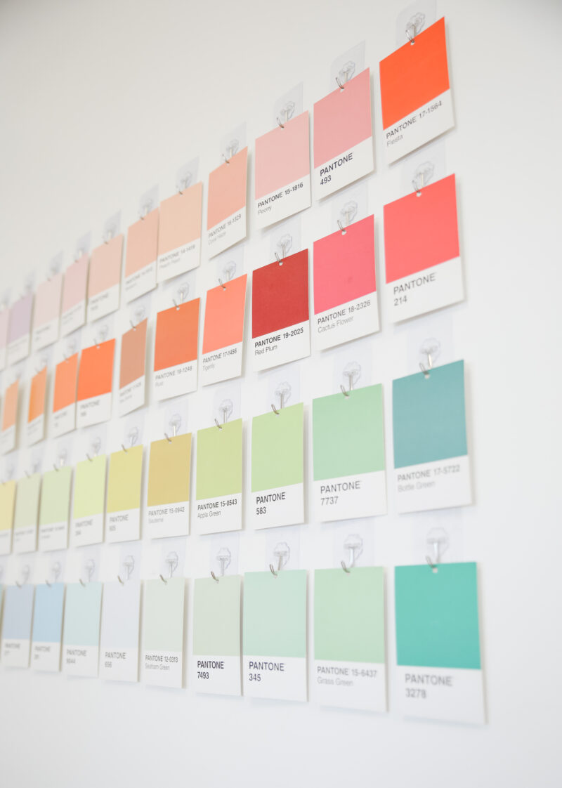 We Finally Have a Pantone Wall at The Studio! - Hey Maca