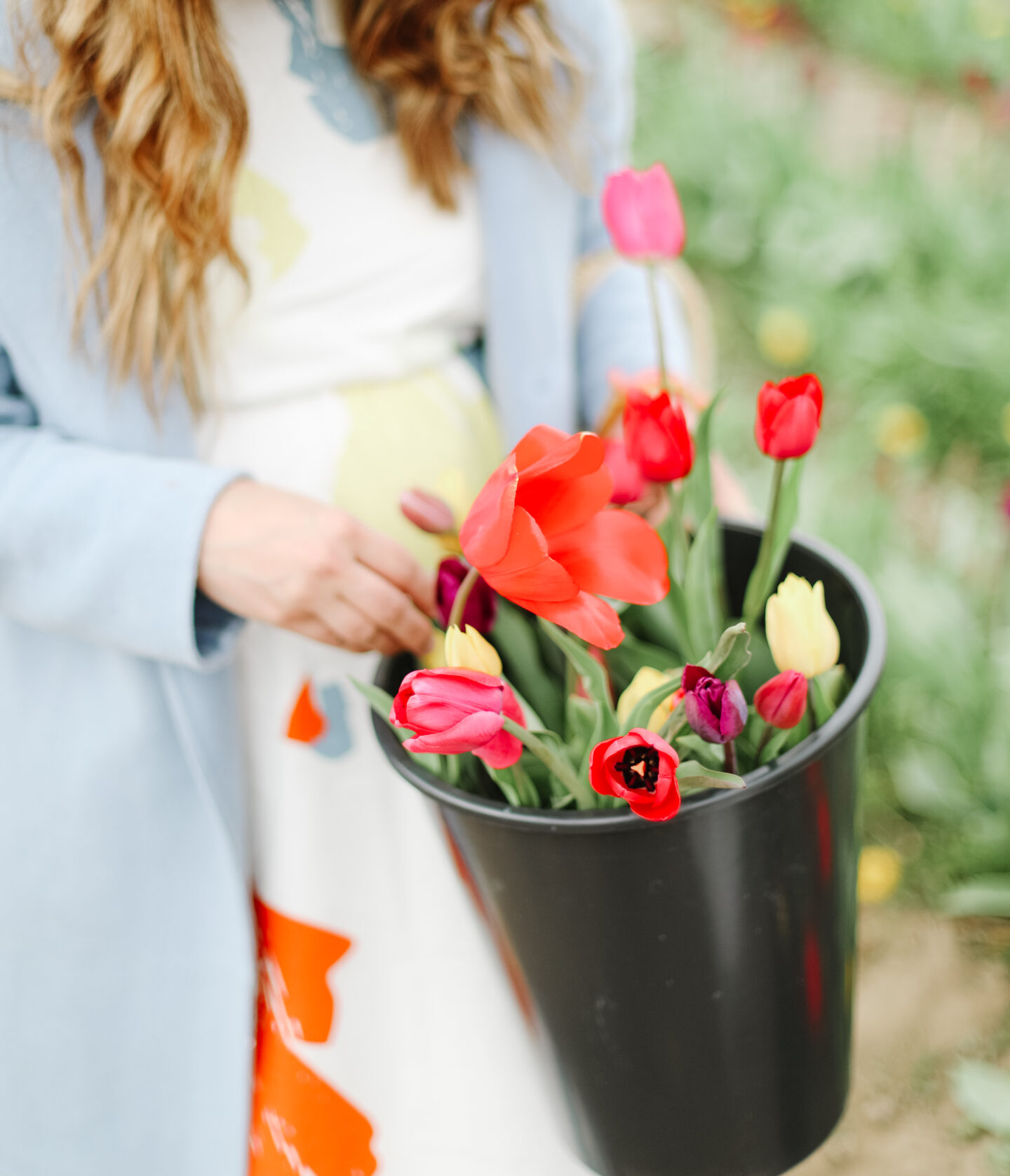 Tulip field inspiration