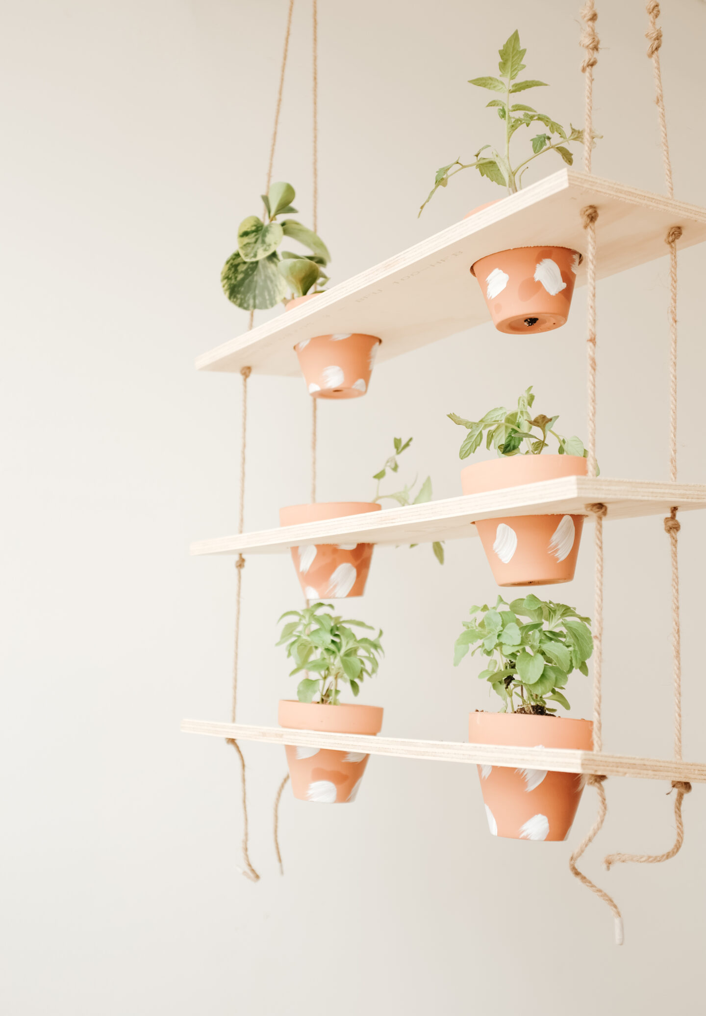 Vertical garden DIY project