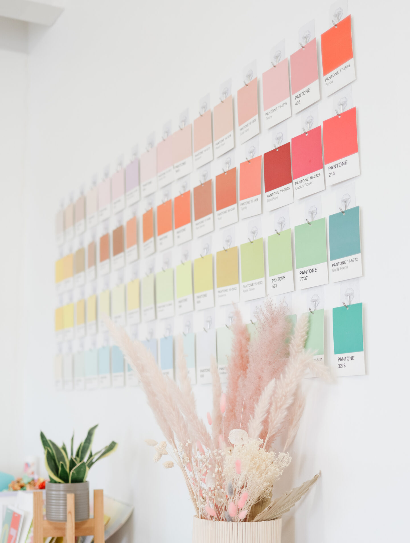 Hey Maca Studio Pantone Wall