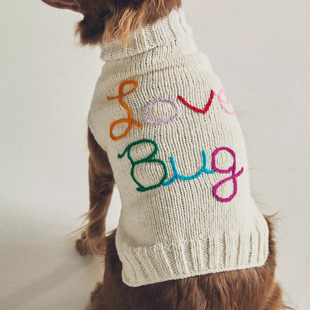 love bug pet sweater in a dog