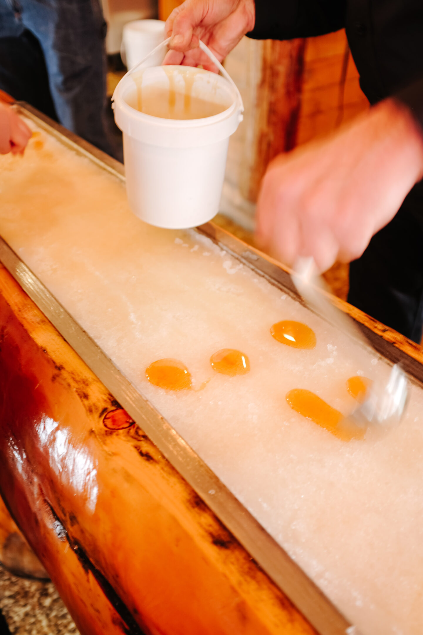 Sugar maple on ice